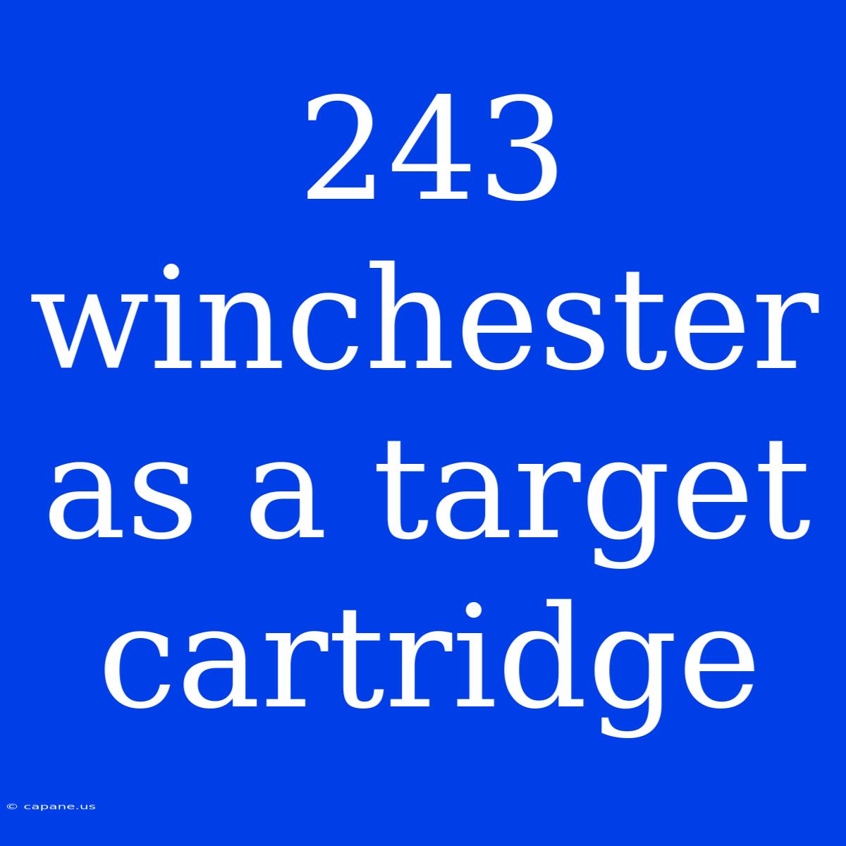 243 Winchester As A Target Cartridge