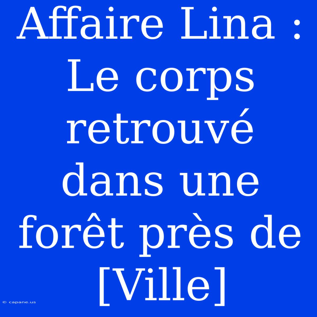 Affaire Lina : Le Corps Retrouvé Dans Une Forêt Près De [Ville]