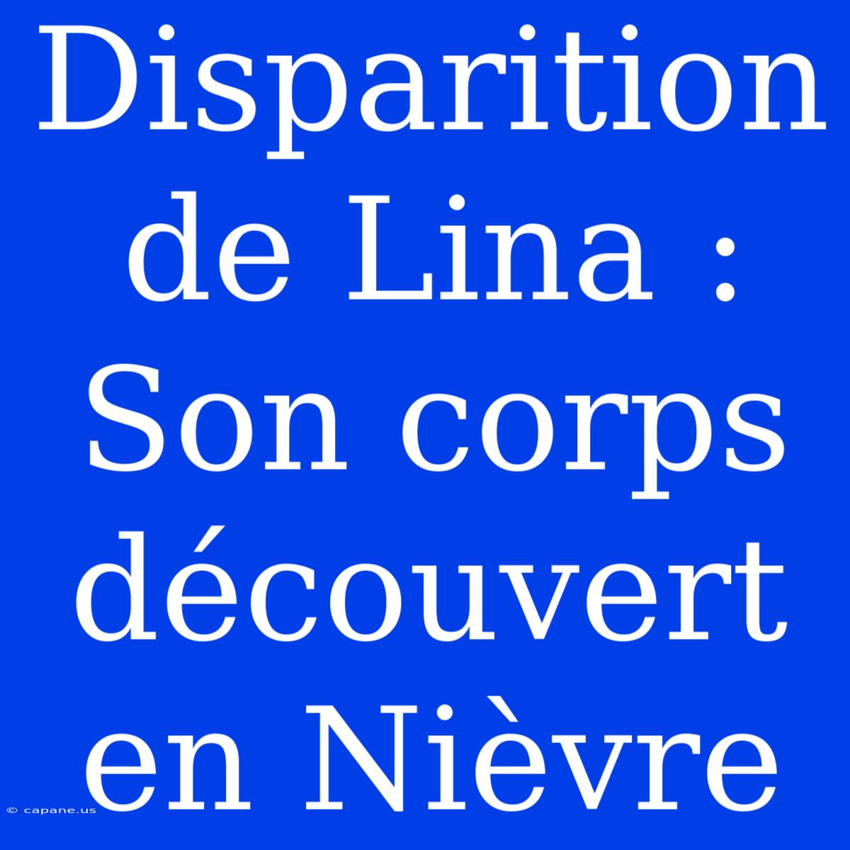 Disparition De Lina : Son Corps Découvert En Nièvre