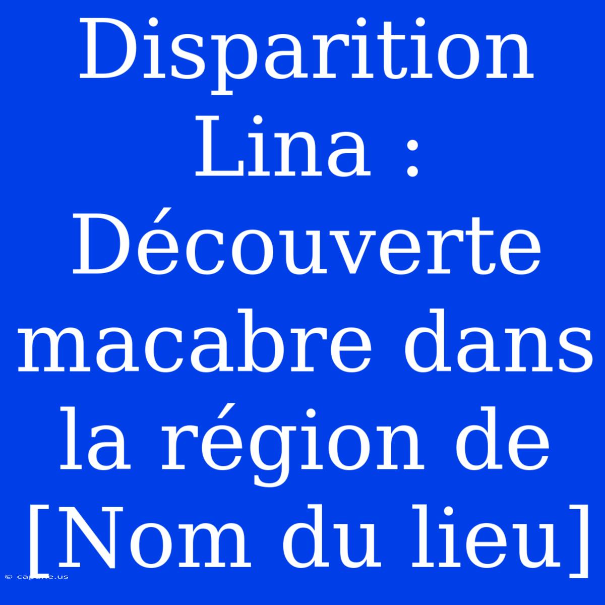 Disparition Lina : Découverte Macabre Dans La Région De [Nom Du Lieu] 