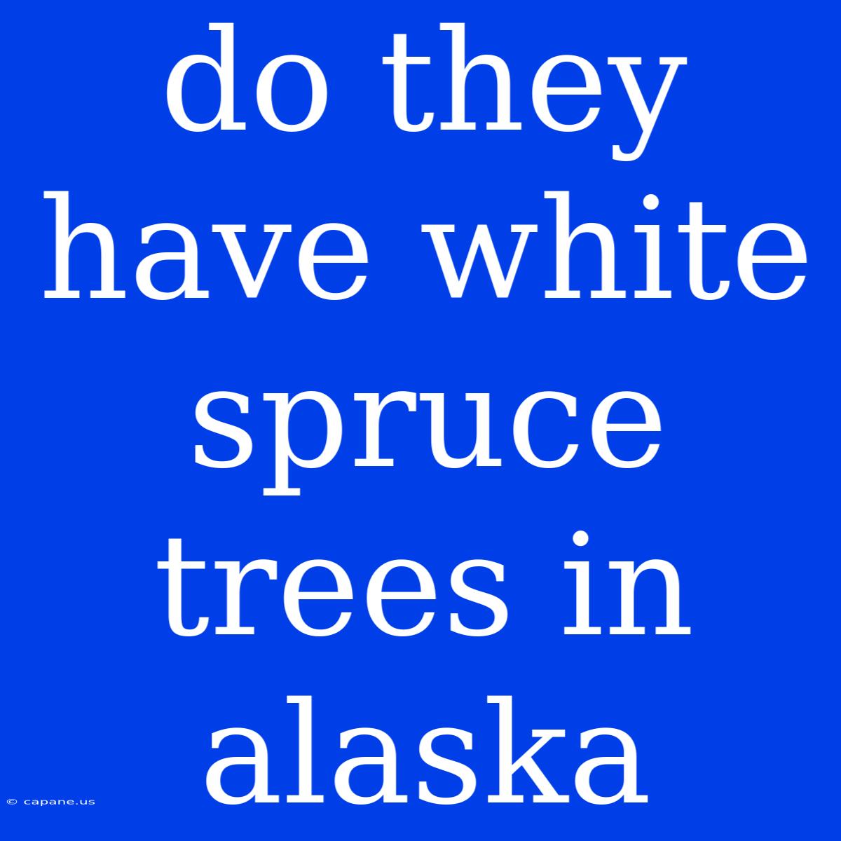 Do They Have White Spruce Trees In Alaska