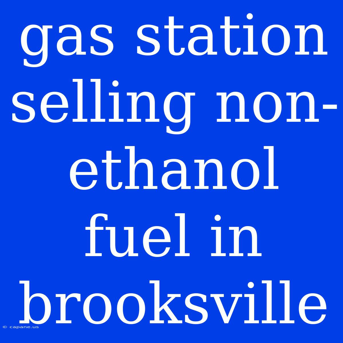 Gas Station Selling Non-ethanol Fuel In Brooksville