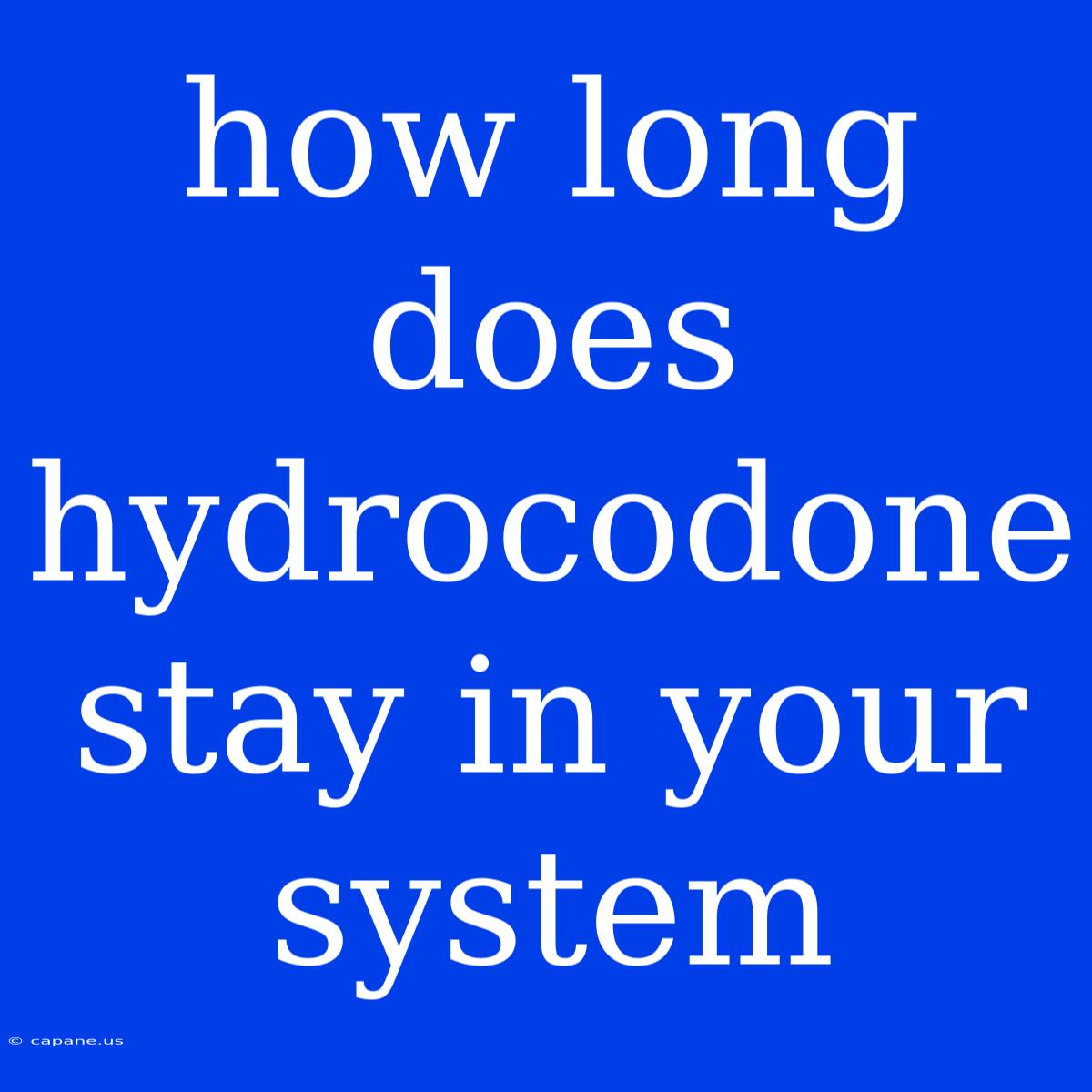 How Long Does Hydrocodone Stay In Your System