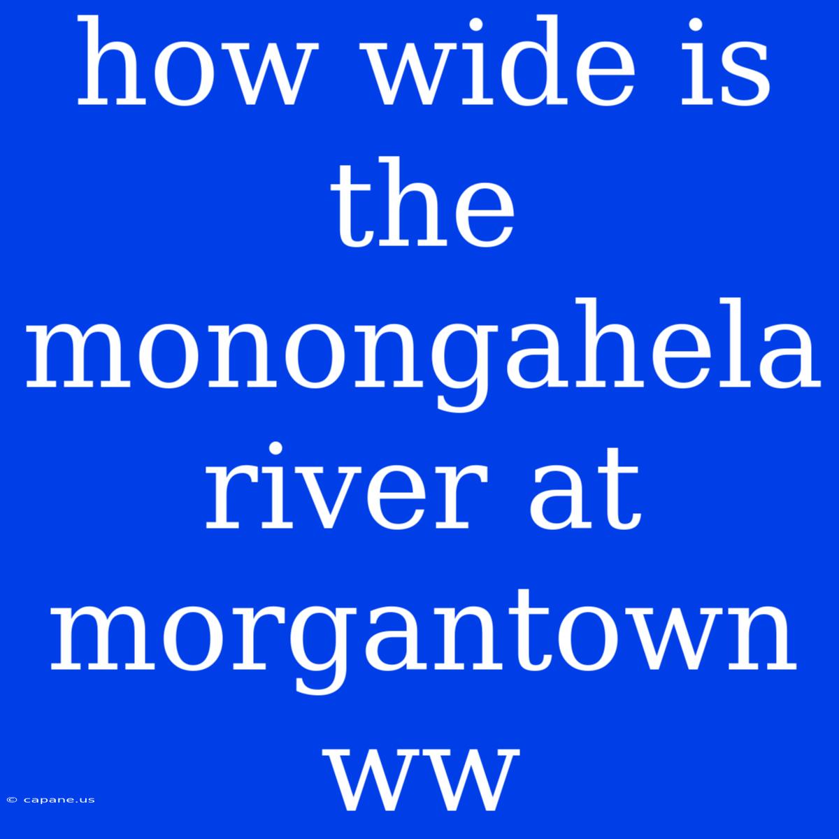 How Wide Is The Monongahela River At Morgantown Ww