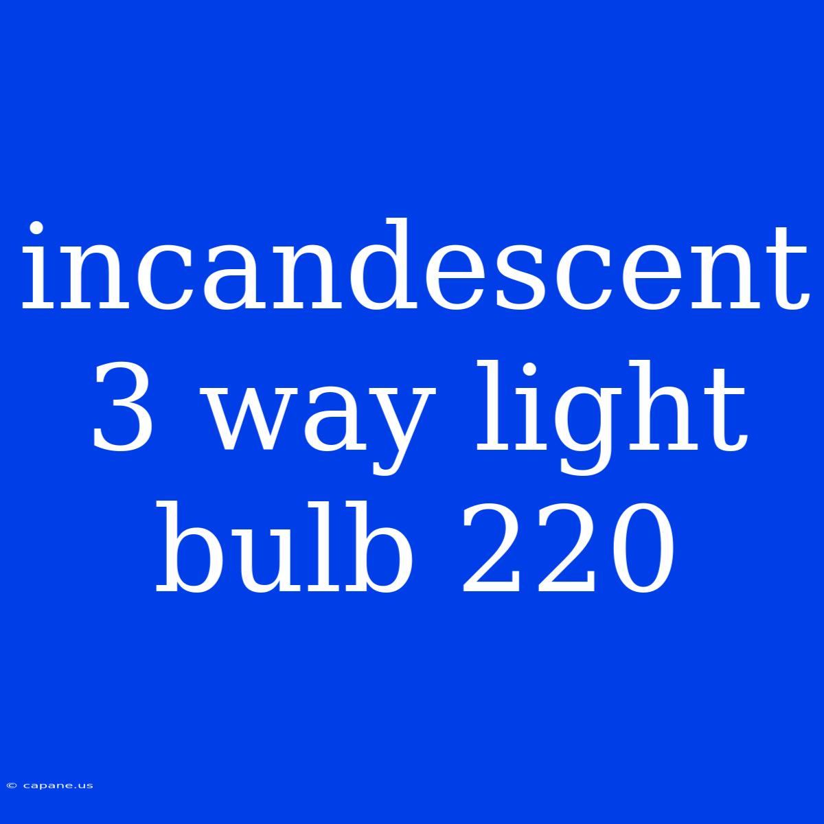 Incandescent 3 Way Light Bulb 220