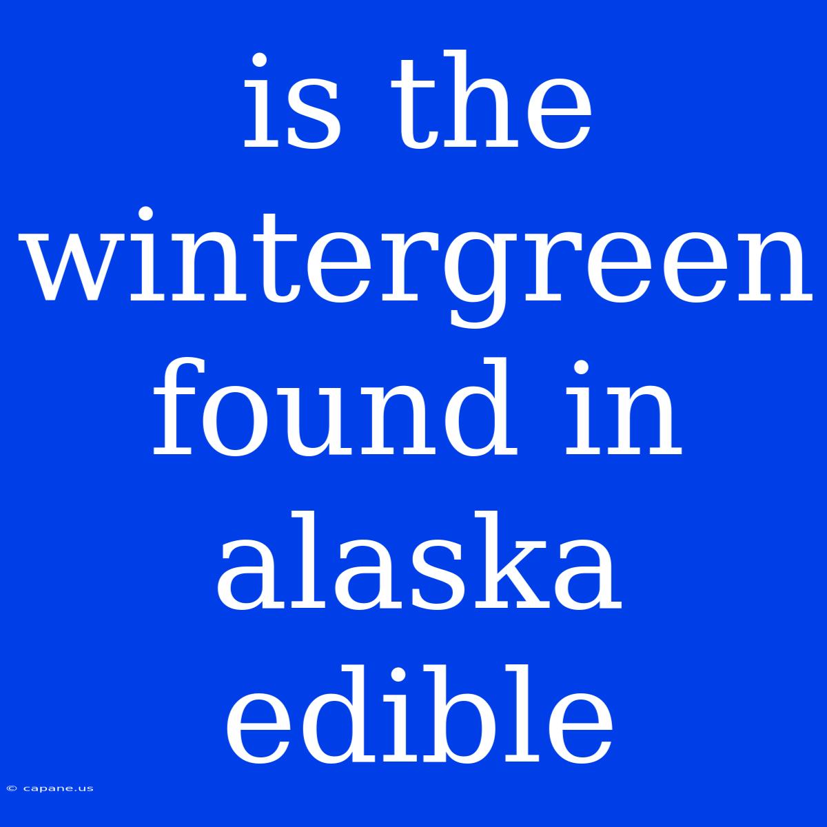 Is The Wintergreen Found In Alaska Edible