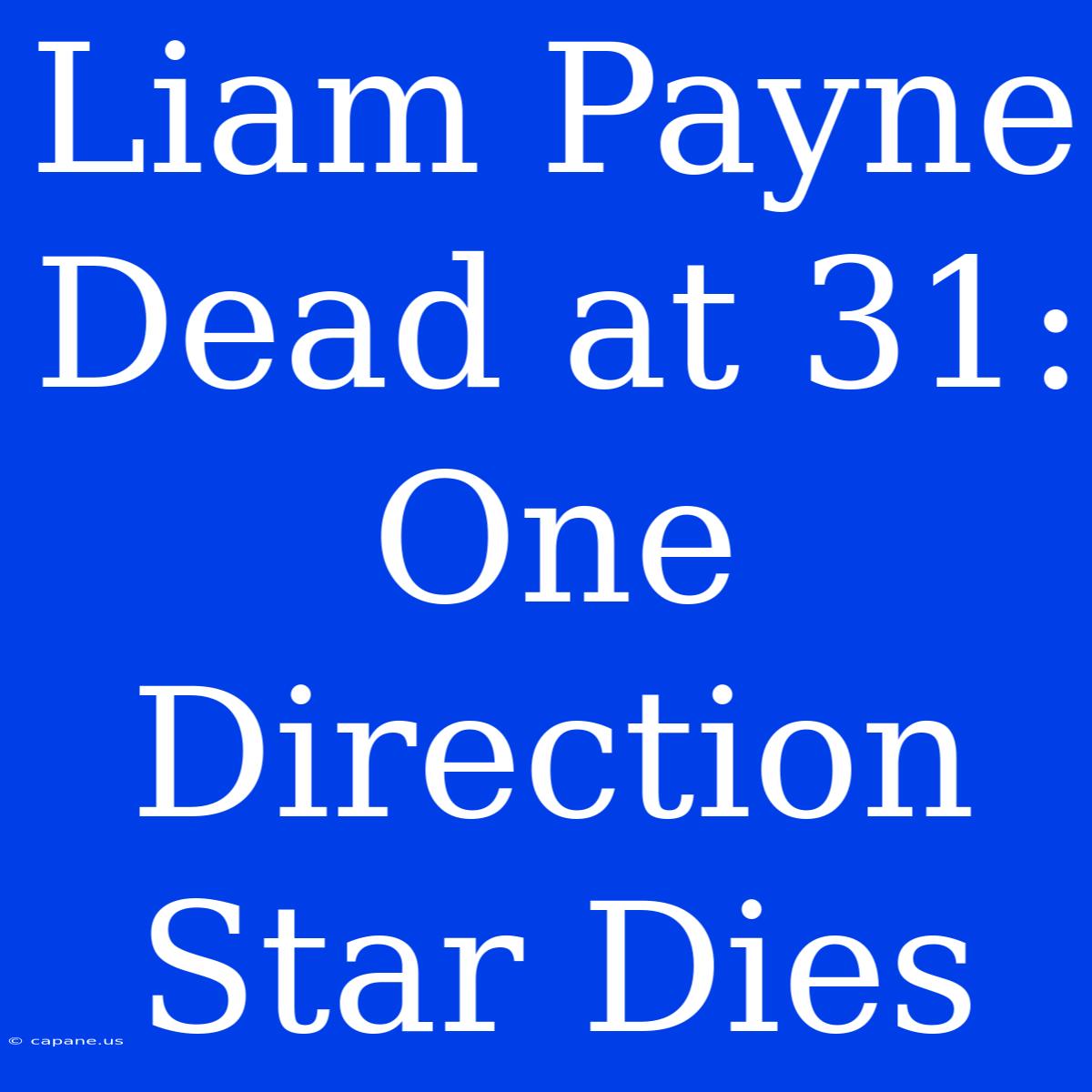 Liam Payne Dead At 31: One Direction Star Dies