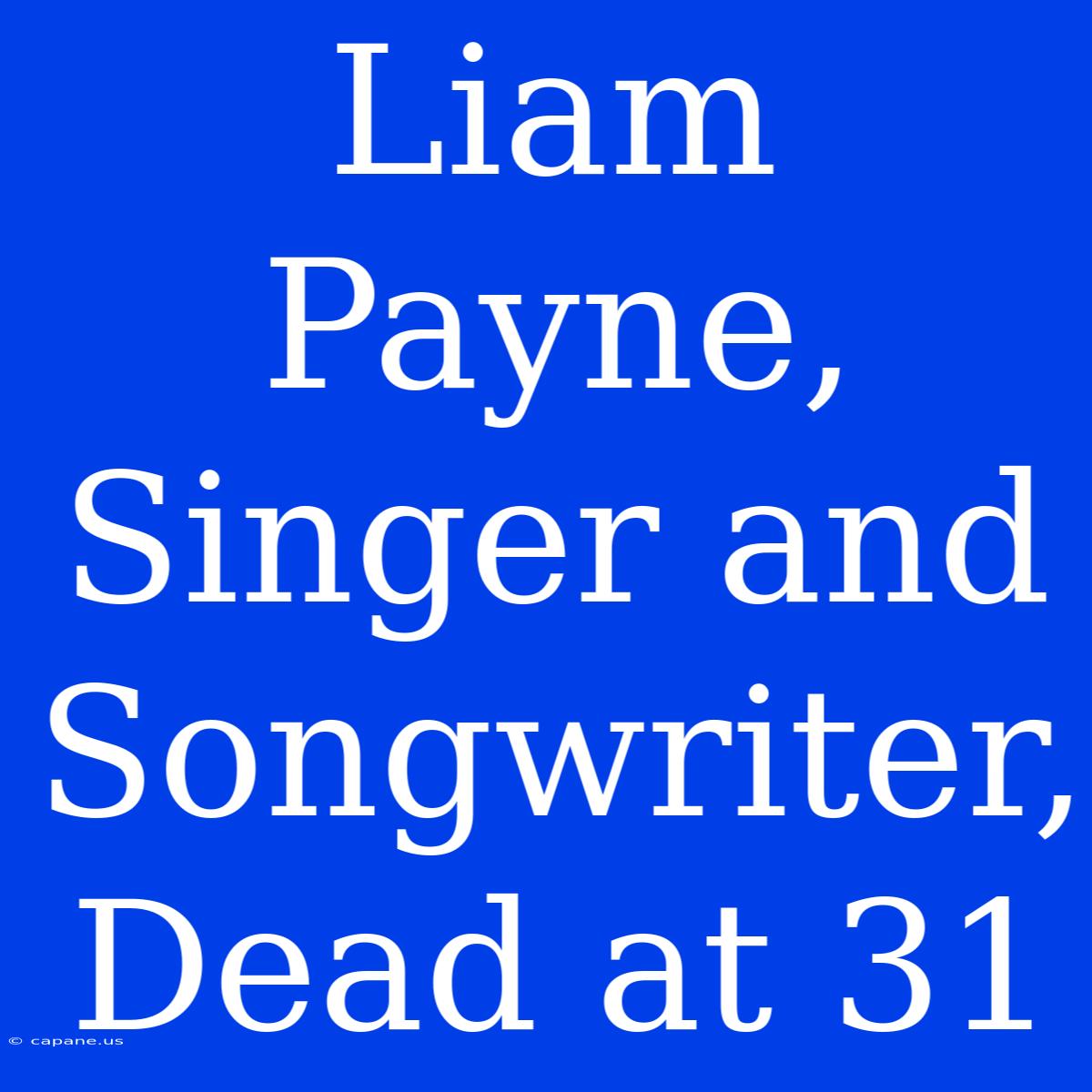 Liam Payne, Singer And Songwriter, Dead At 31 