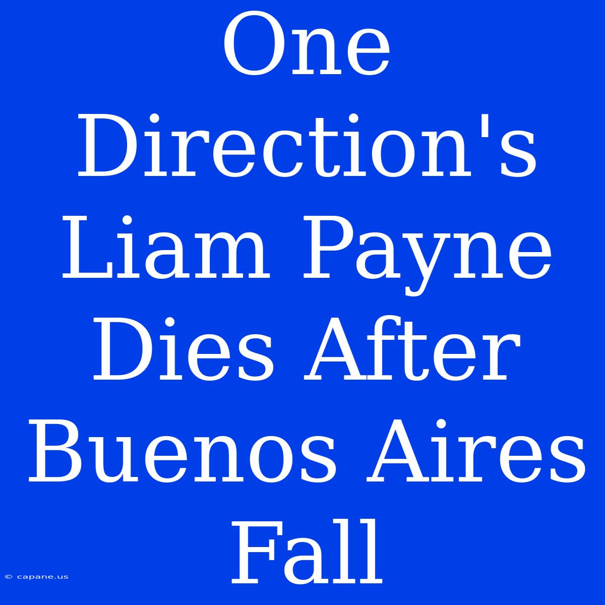 One Direction's Liam Payne Dies After Buenos Aires Fall