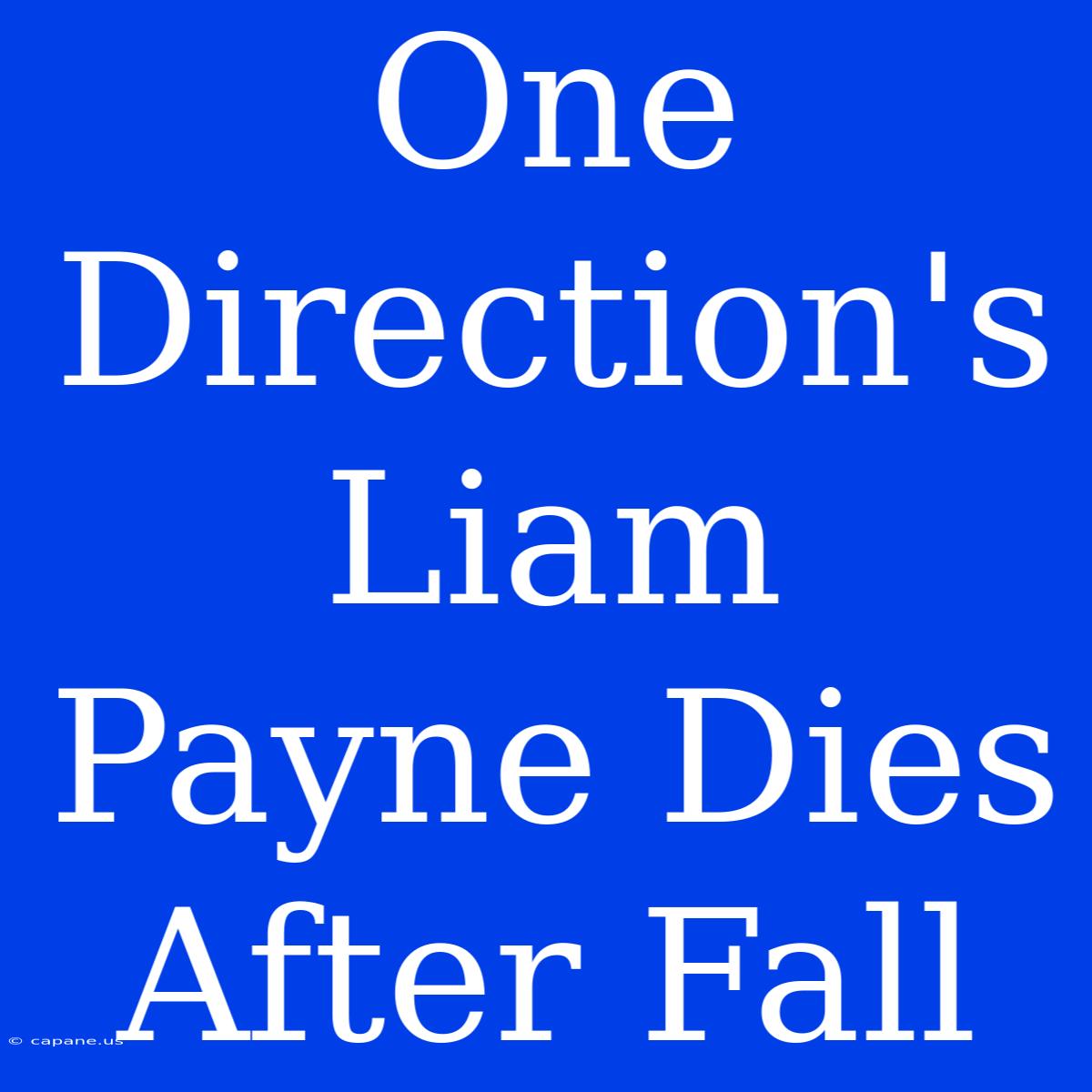 One Direction's Liam Payne Dies After Fall