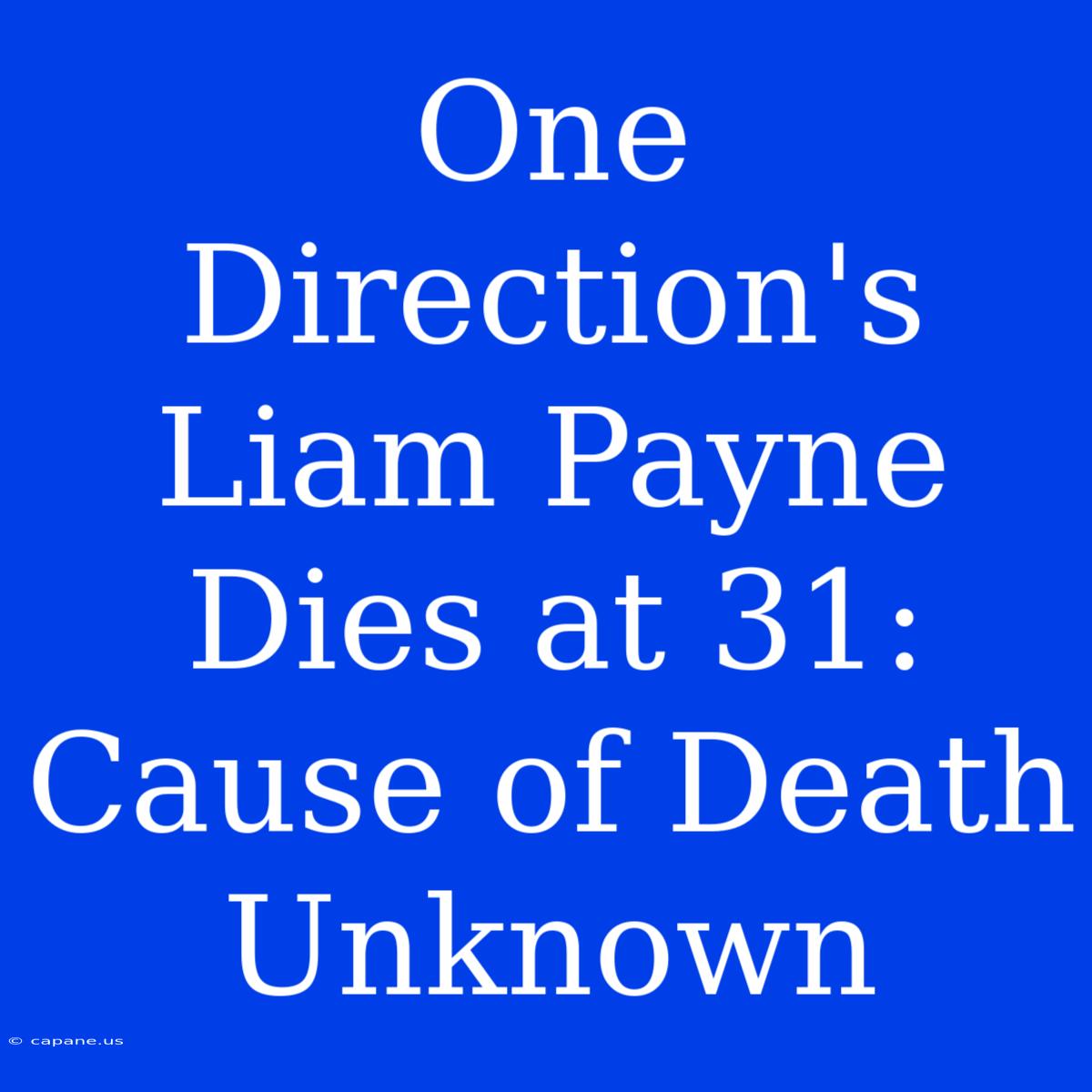 One Direction's Liam Payne Dies At 31: Cause Of Death Unknown