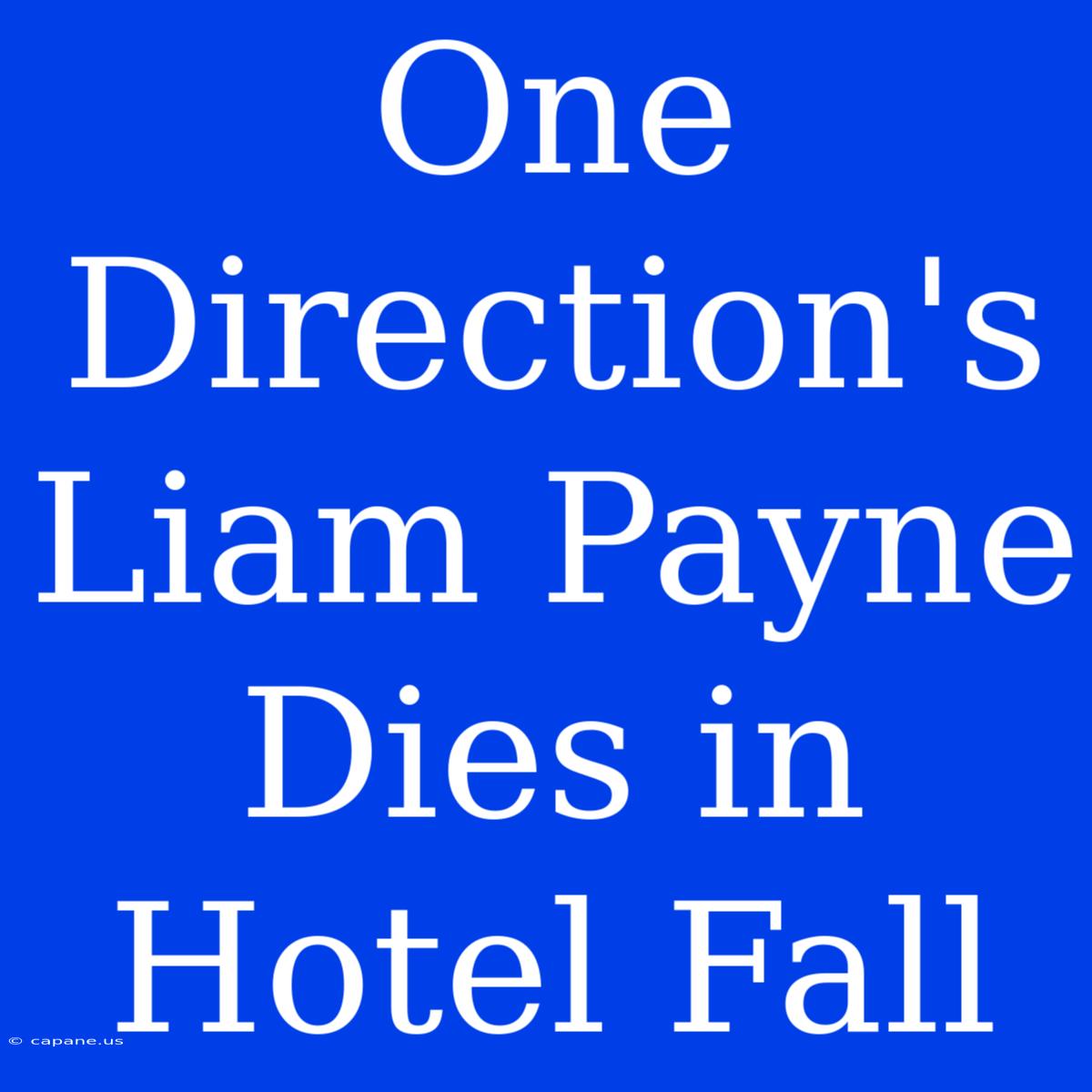 One Direction's Liam Payne Dies In Hotel Fall 