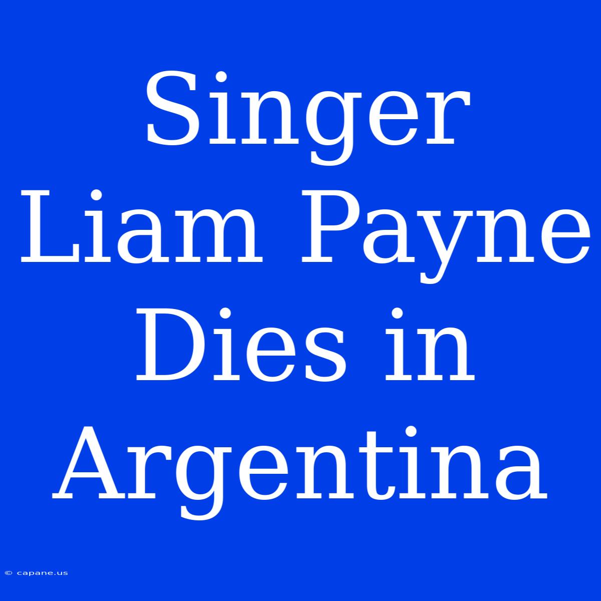 Singer Liam Payne Dies In Argentina