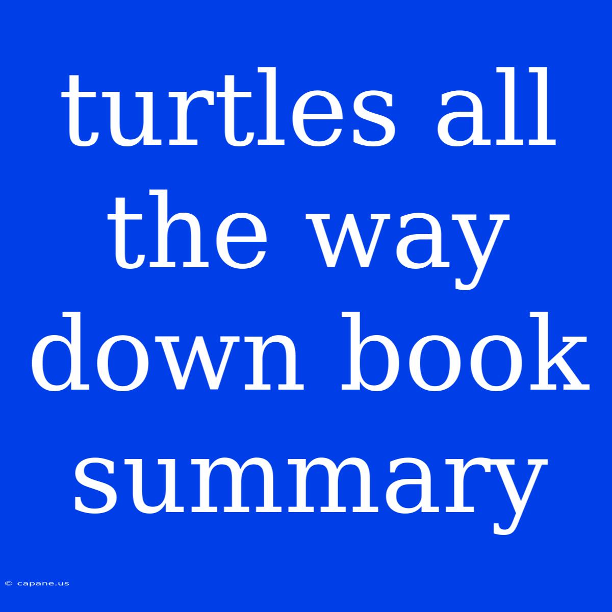 Turtles All The Way Down Book Summary