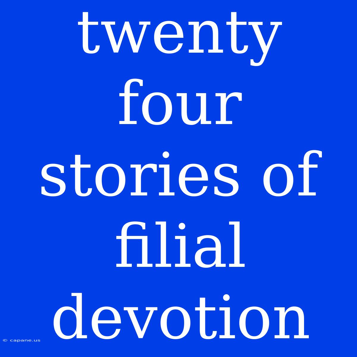 Twenty Four Stories Of Filial Devotion