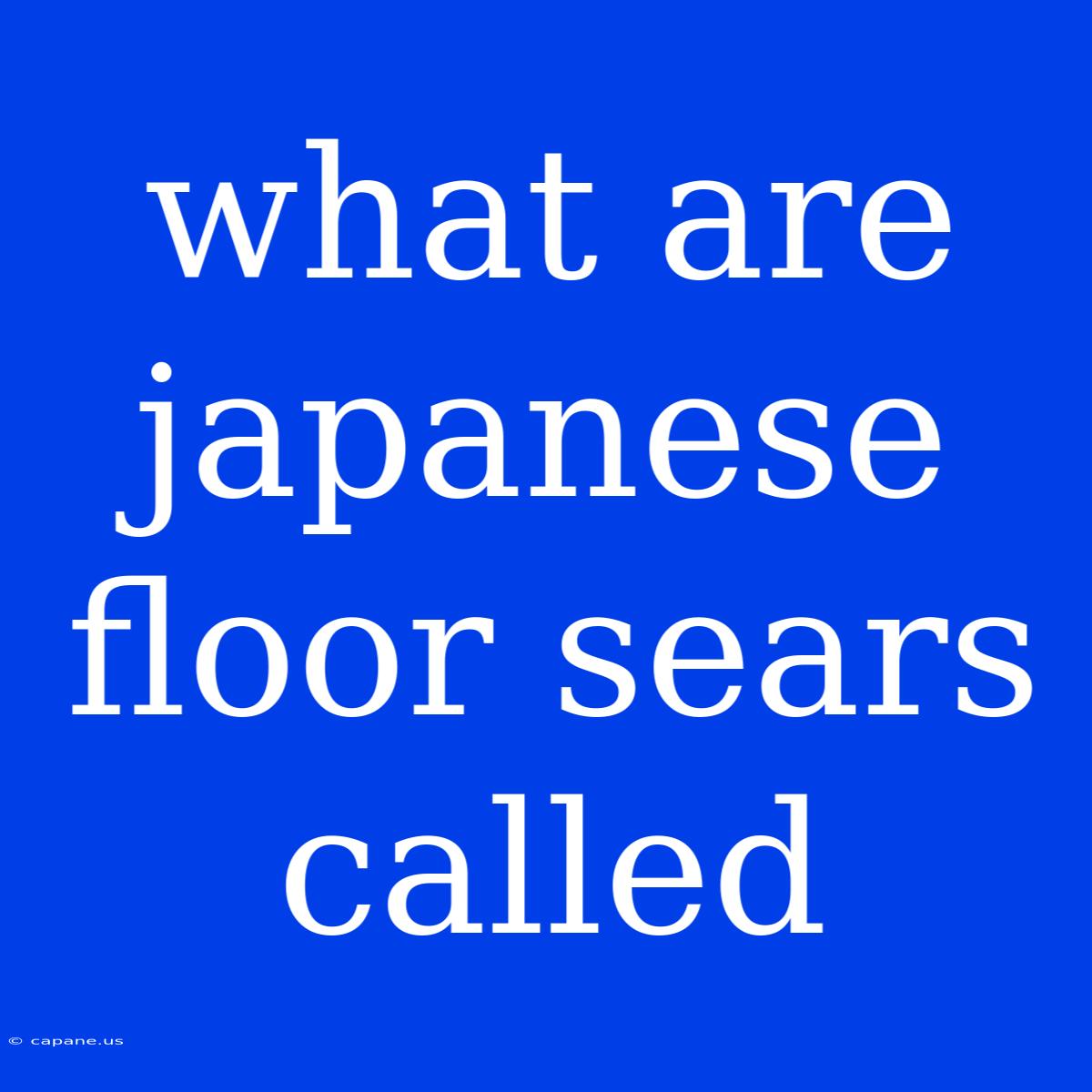 What Are Japanese Floor Sears Called