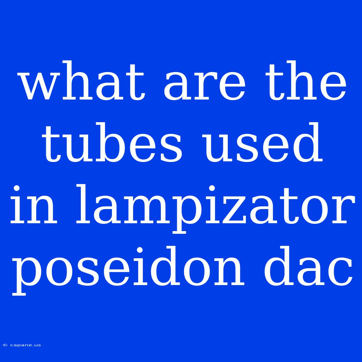 What Are The Tubes Used In Lampizator Poseidon Dac