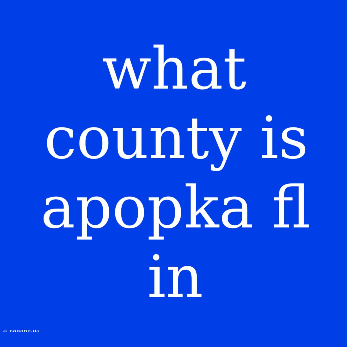 What County Is Apopka Fl In