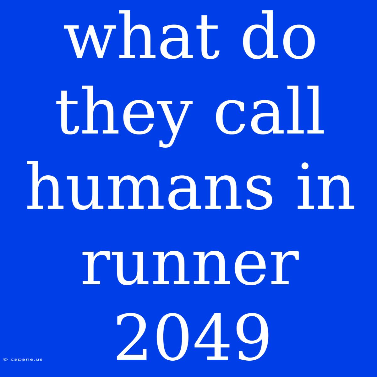 What Do They Call Humans In Runner 2049