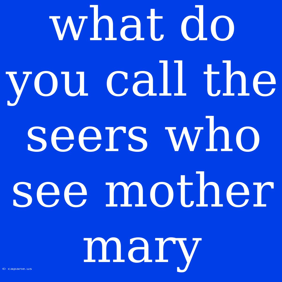 What Do You Call The Seers Who See Mother Mary