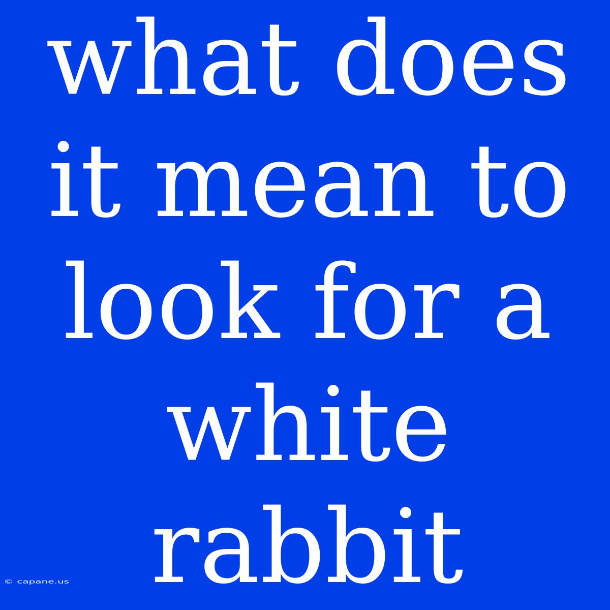 What Does It Mean To Look For A White Rabbit