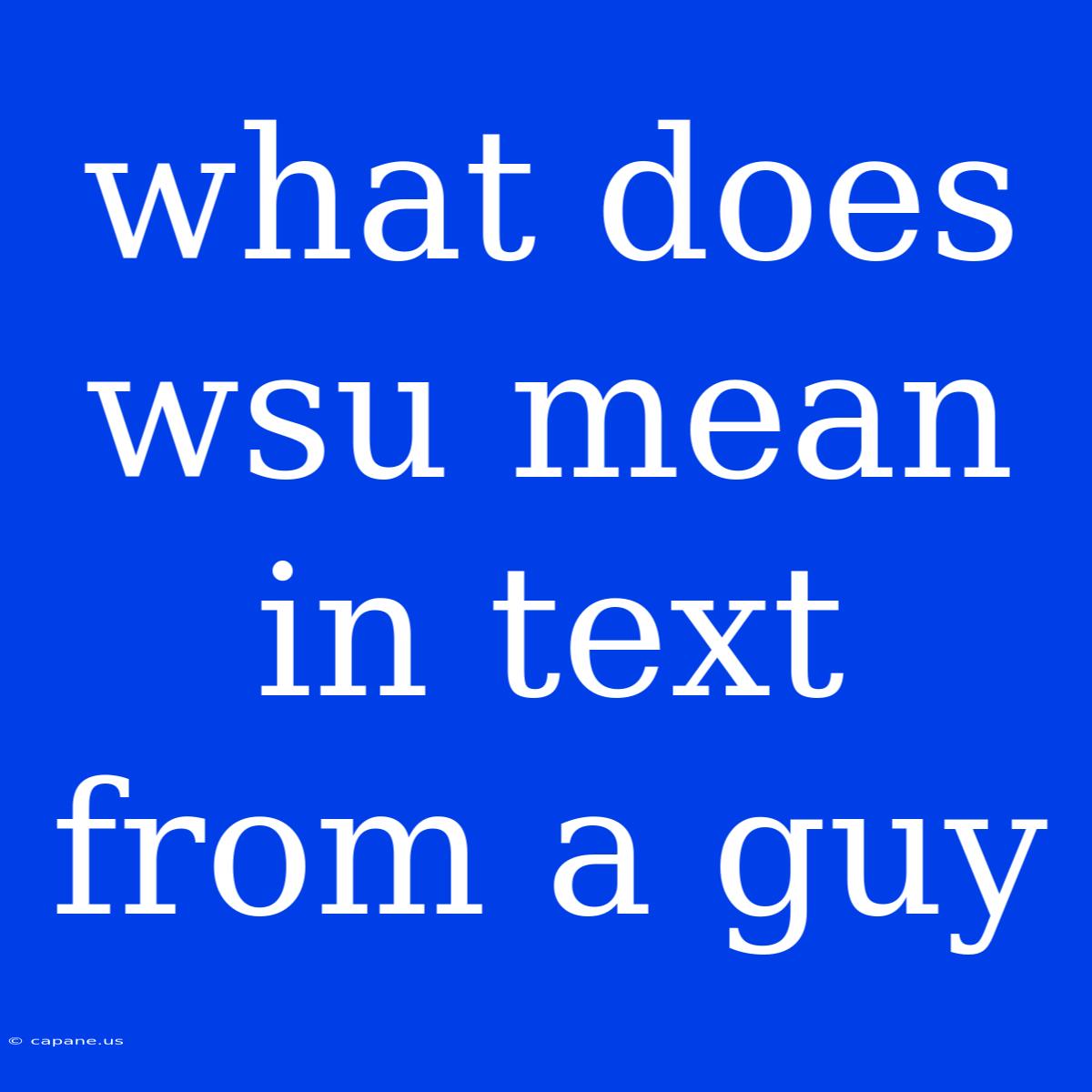 What Does Wsu Mean In Text From A Guy