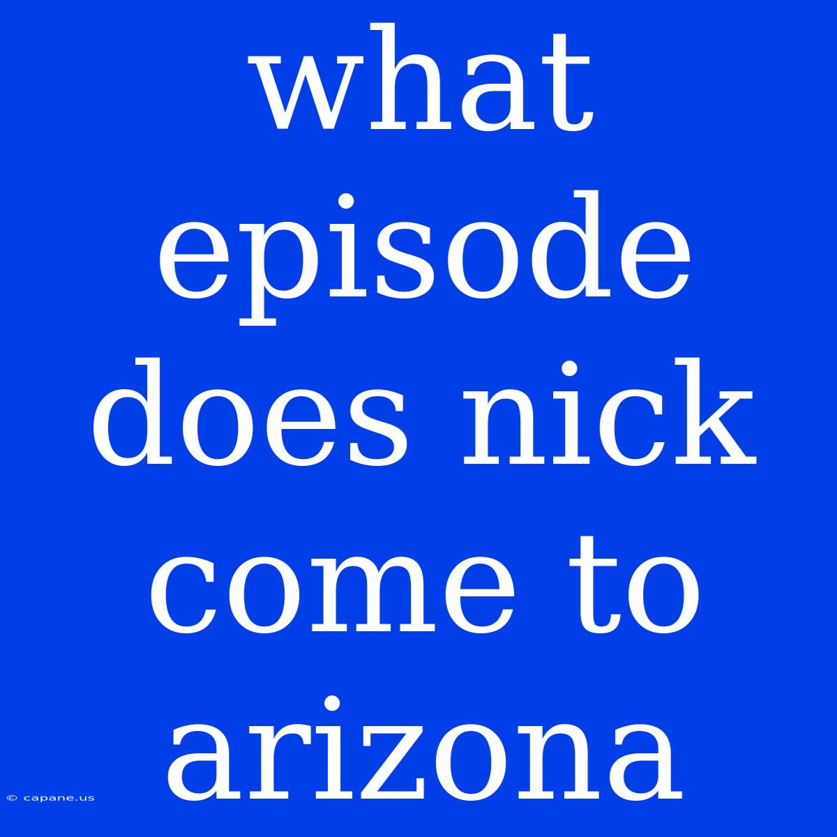 What Episode Does Nick Come To Arizona