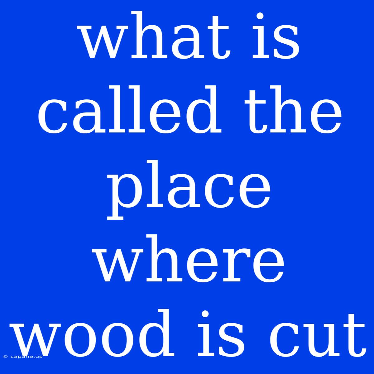 What Is Called The Place Where Wood Is Cut