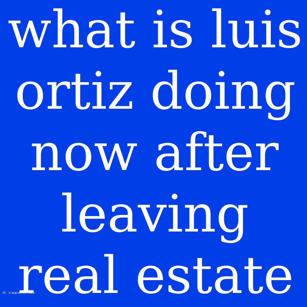 What Is Luis Ortiz Doing Now After Leaving Real Estate