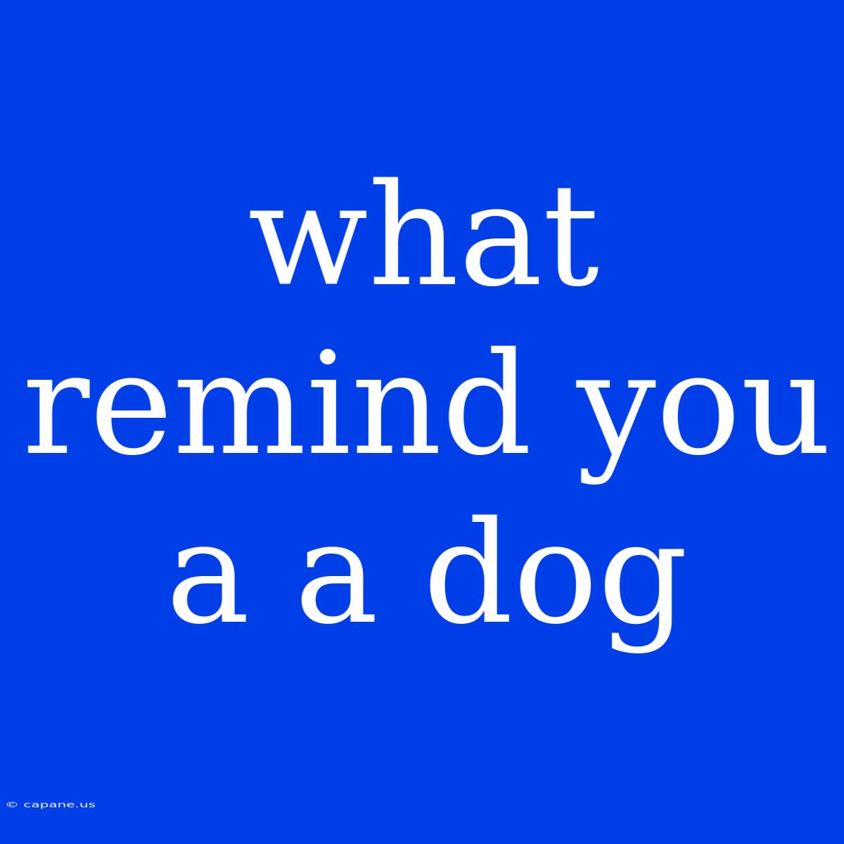 What Remind You A A Dog