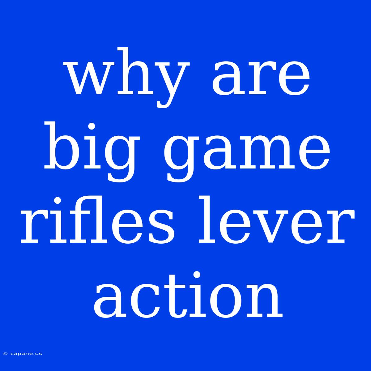 Why Are Big Game Rifles Lever Action