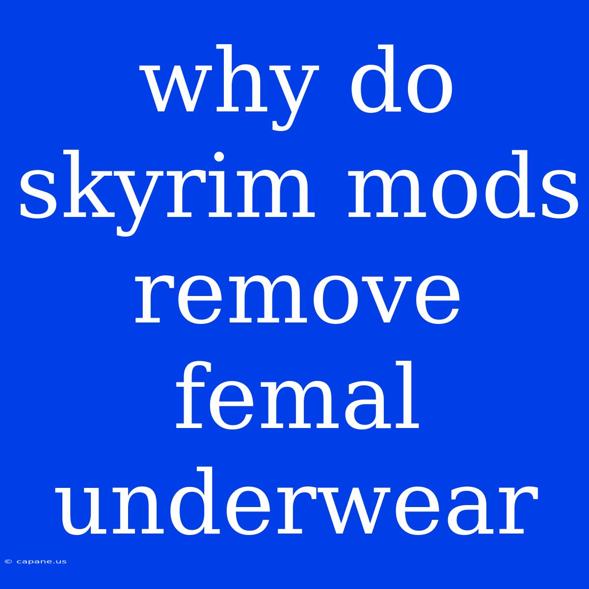 Why Do Skyrim Mods Remove Femal Underwear