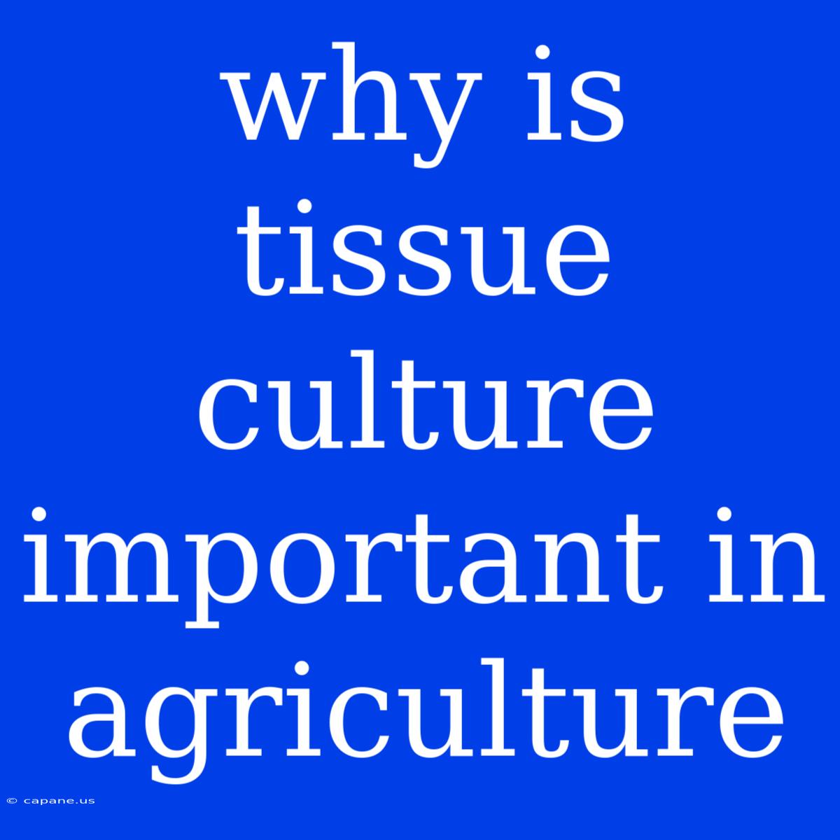 Why Is Tissue Culture Important In Agriculture