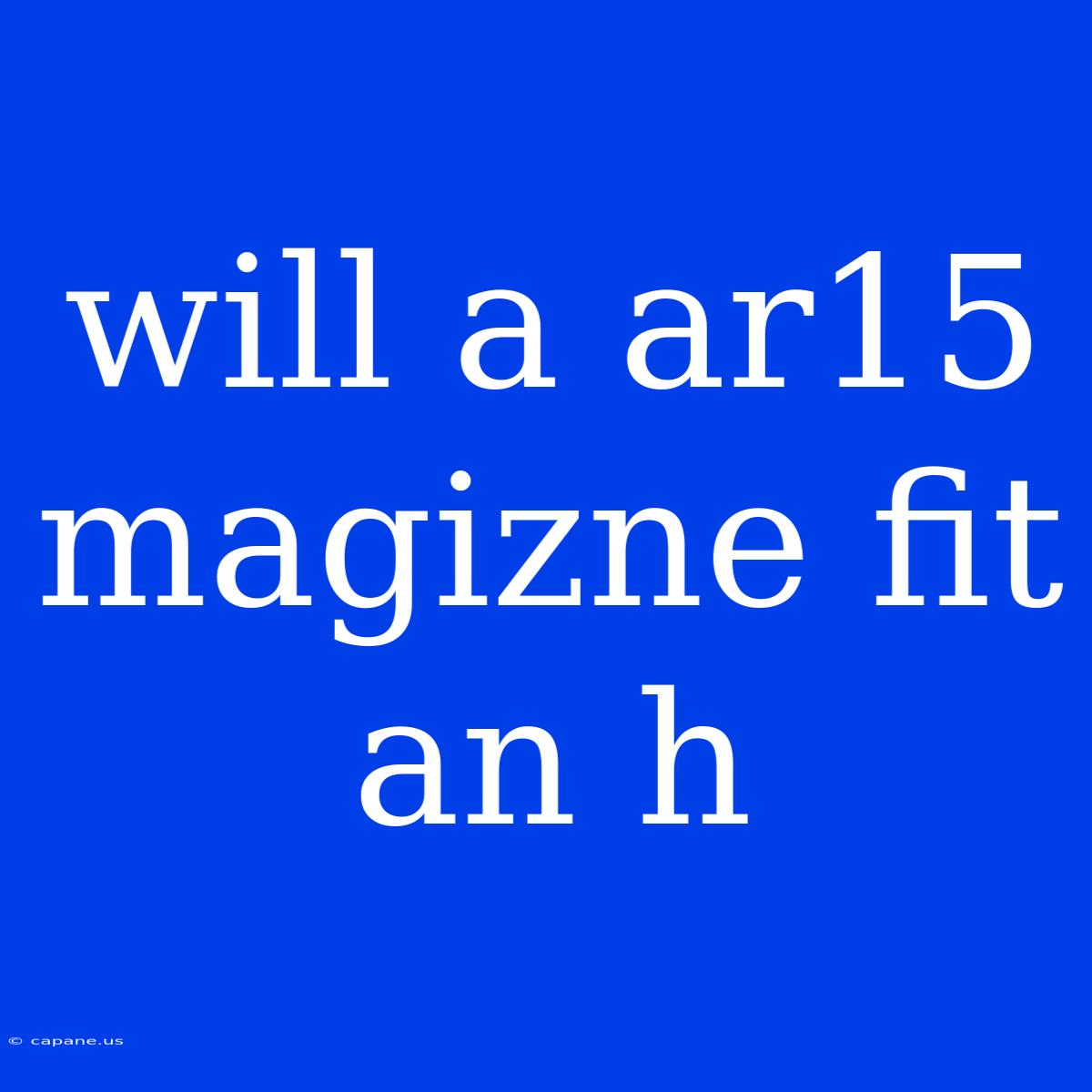 Will A Ar15 Magizne Fit An H